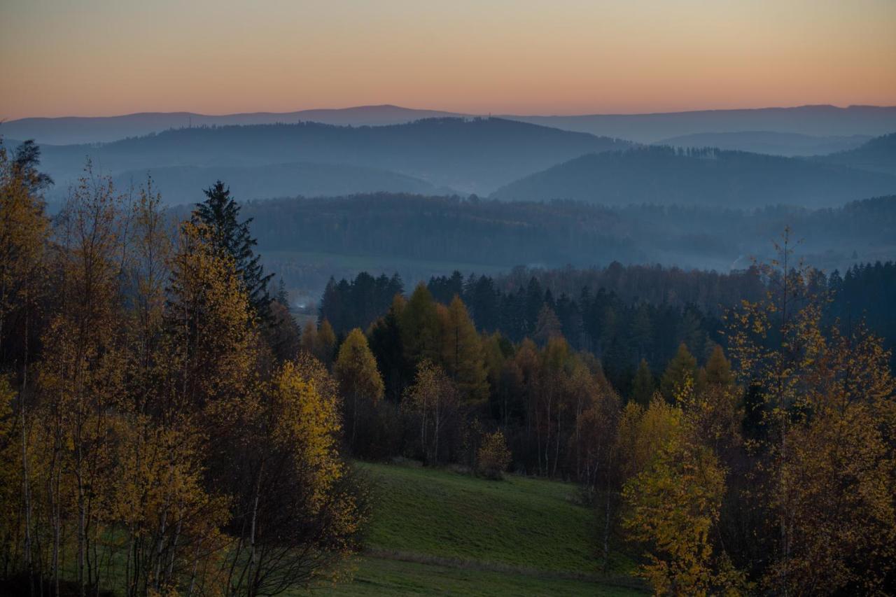 Wilk W Gorach Sowich Jugów