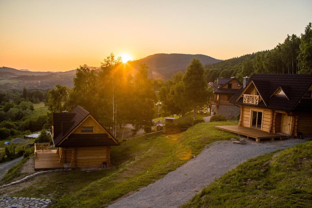 Wilk W Gorach Sowich